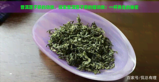 普洱莲子茶的功效，探索普洱莲子茶的健功效：一杯养生的秘密