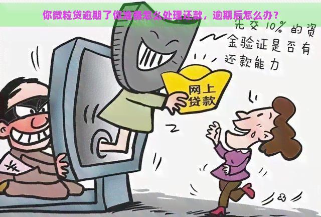 你微粒贷逾期了你准备怎么处理还款，逾期后怎么办？