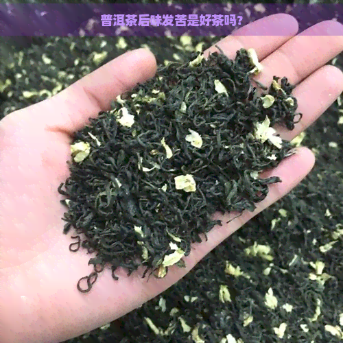 普洱茶后味发苦是好茶吗？