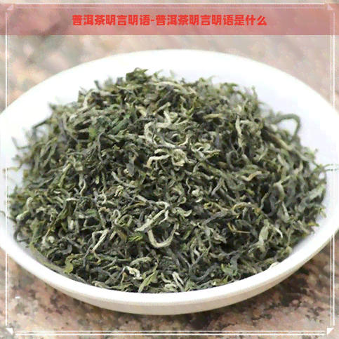 普洱茶明言明语-普洱茶明言明语是什么