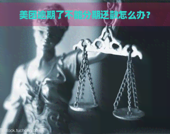 美团逾期了不能分期还款怎么办？