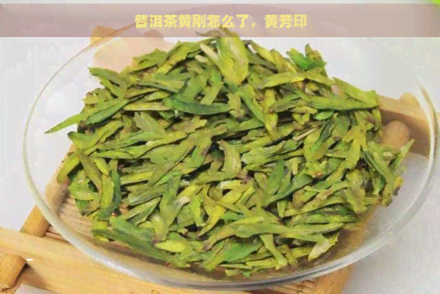 普洱茶黄刚怎么了，黄芳印