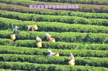 普洱茶繁体字包装的起源与历