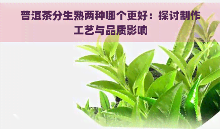 普洱茶分生熟两种哪个更好：探讨制作工艺与品质影响