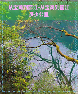 从宝鸡到丽江-从宝鸡到丽江多少公里