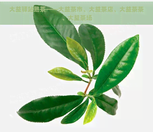 大益驿站熟茶——大益茶市、大益茶店、大益茶茶、大益茶场