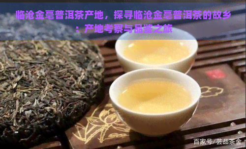 临沧金毫普洱茶产地，探寻临沧金毫普洱茶的故乡：产地考察与品鉴之旅