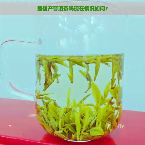 楚雄产普洱茶吗现在情况如何？