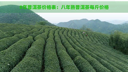 8年普洱茶价格表：八年熟普洱茶每斤价格