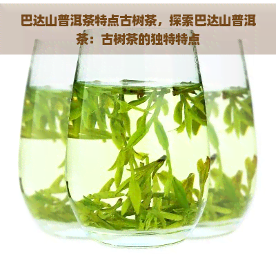 巴达山普洱茶特点古树茶，探索巴达山普洱茶：古树茶的独特特点