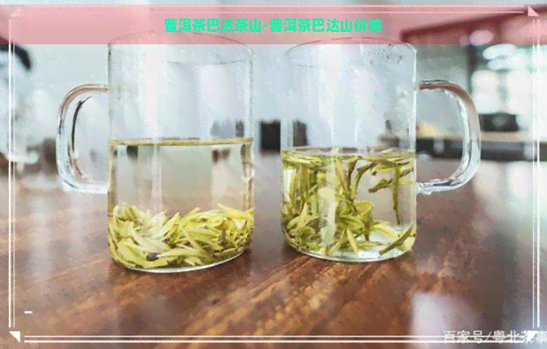 普洱茶巴达茶山-普洱茶巴达山价格