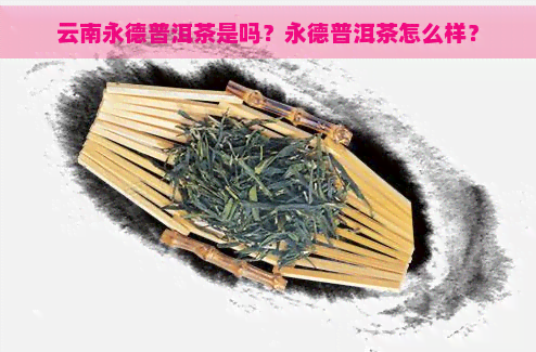 云南永德普洱茶是吗？永德普洱茶怎么样？