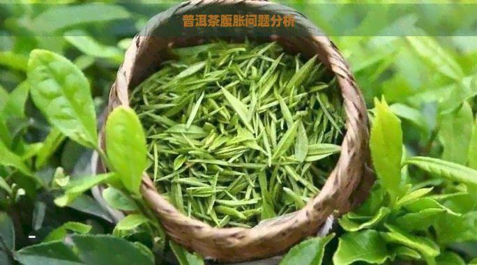 普洱茶腹胀问题分析