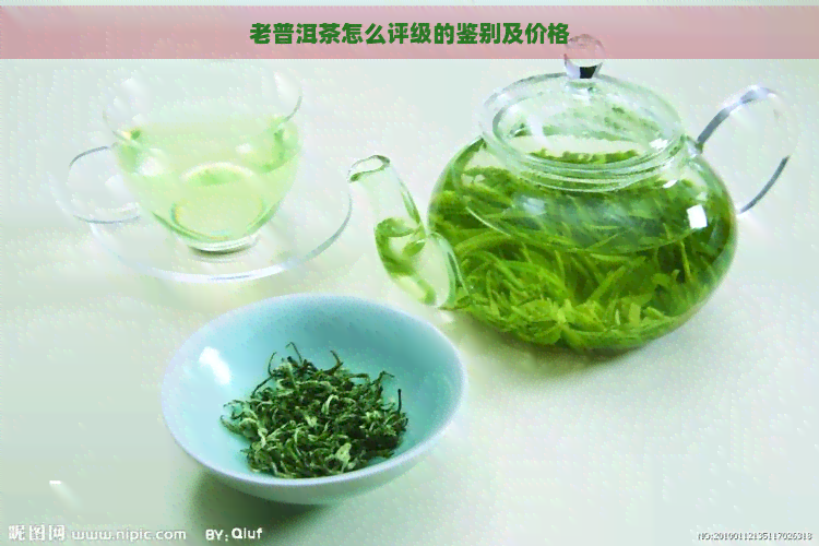 老普洱茶怎么评级的鉴别及价格