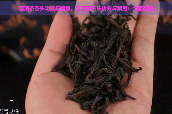 普洱茶茶头功效与禁忌，普洱茶茶头功效与禁忌：全面解读