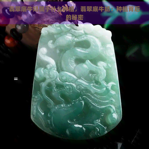 翡翠底牛奶属于什么种植，翡翠底牛奶：种植背后的秘密