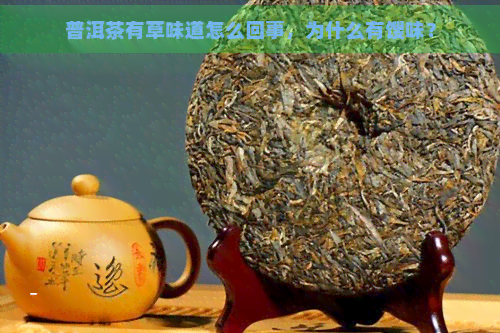 普洱茶有草味道怎么回事，为什么有馊味？