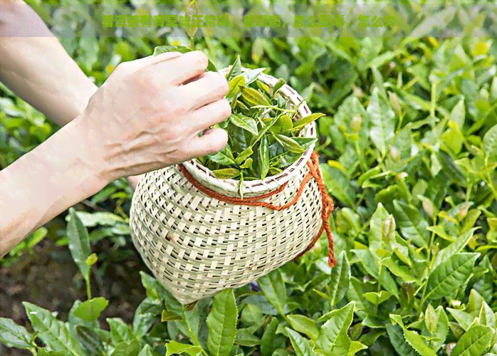 普洱茶有青草味正常吗，能喝吗，怎么回事，怎么办