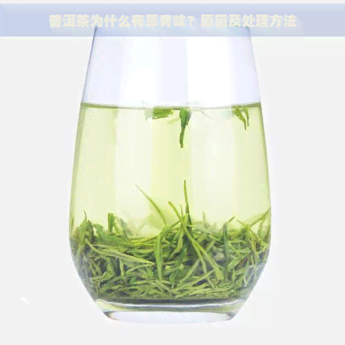 普洱茶为什么有草青味？原因及处理方法