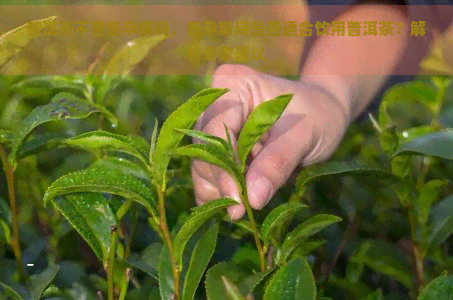 普洱茶不宜备孕喝吗，备孕期间是否适合饮用普洱茶？解析专家建议