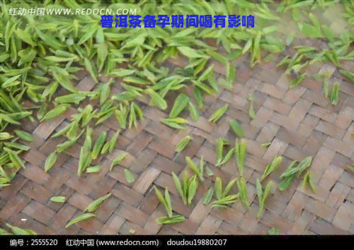 普洱茶备孕期间喝有影响