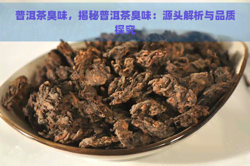 普洱茶臭味，揭秘普洱茶臭味：源头解析与品质探究