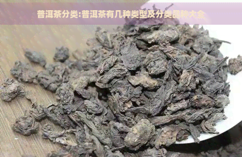 普洱茶分类:普洱茶有几种类型及分类品种大全