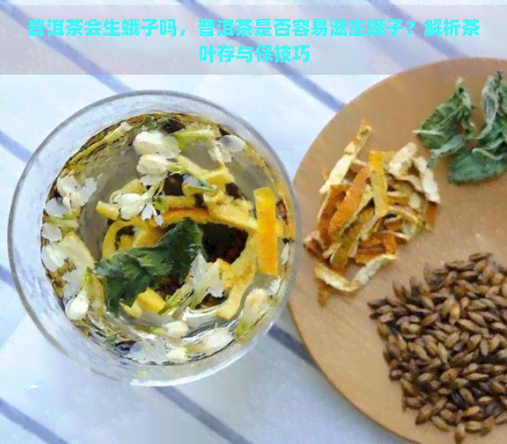 普洱茶会生蛾子吗，普洱茶是否容易滋生蛾子？解析茶叶存与保技巧