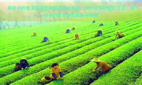 茶叶中的普洱茶的定价属于什么方法，探讨普洱茶定价方式：揭秘茶叶市场中的策略与实践