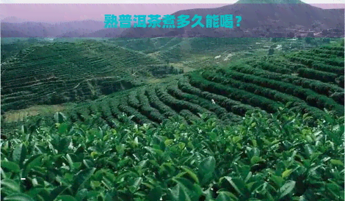 熟普洱茶煮多久能喝？