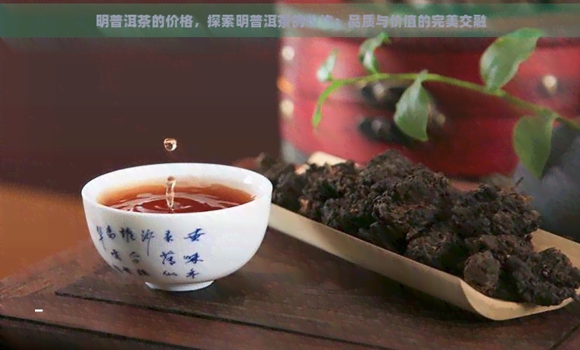 明普洱茶的价格，探索明普洱茶的价格：品质与价值的完美交融