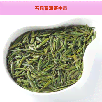 石昆普洱茶中