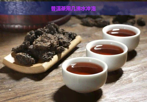 普洱茶用几沸水冲泡