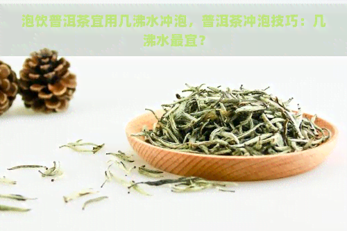 泡饮普洱茶宜用几沸水冲泡，普洱茶冲泡技巧：几沸水最宜？