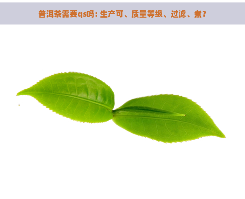 普洱茶需要qs吗: 生产可、质量等级、过滤、煮？