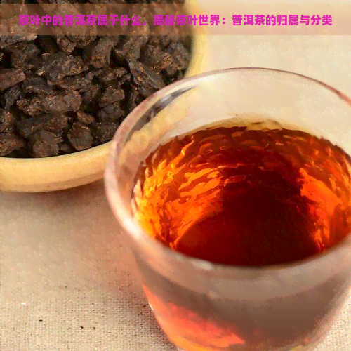 茶叶中的普洱茶属于什么，揭秘茶叶世界：普洱茶的归属与分类