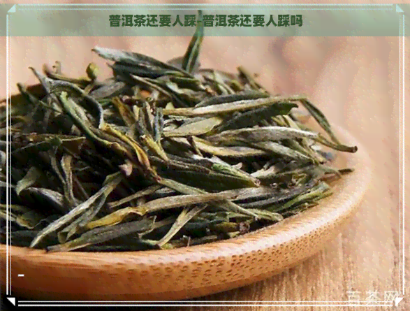 普洱茶还要人踩-普洱茶还要人踩吗