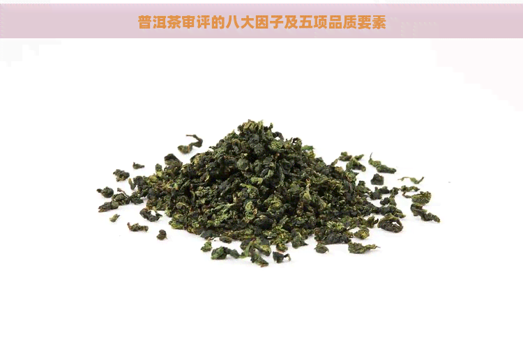 普洱茶审评的八大因子及五项品质要素