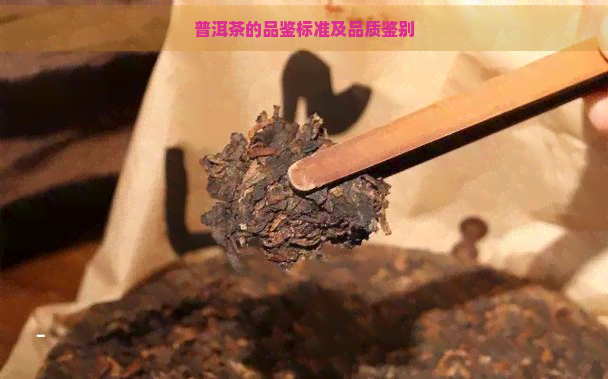 普洱茶的品鉴标准及品质鉴别