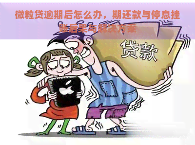 微粒贷逾期后怎么办，期还款与停息挂账后果与解决方案