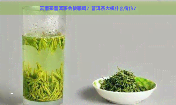 云南买普洱茶会被骗吗？普洱茶大概什么价位？