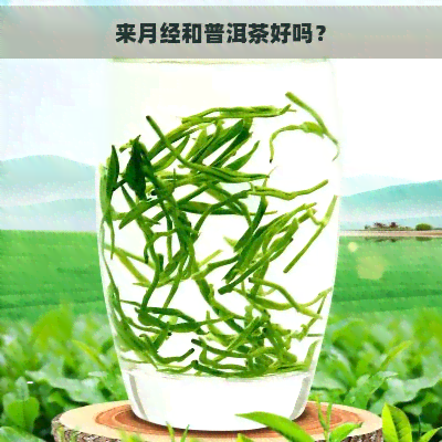 来月经和普洱茶好吗？