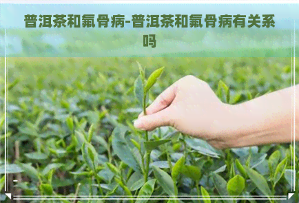 普洱茶和氟骨病-普洱茶和氟骨病有关系吗