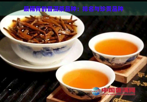 最稀有的普洱茶品种：排名与珍贵品种