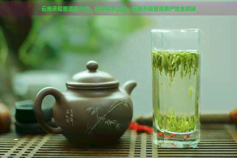 云南天福普洱茶产地，探寻茶乡之美：云南天福普洱茶产地全揭秘