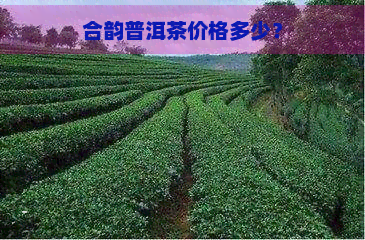 合韵普洱茶价格多少？