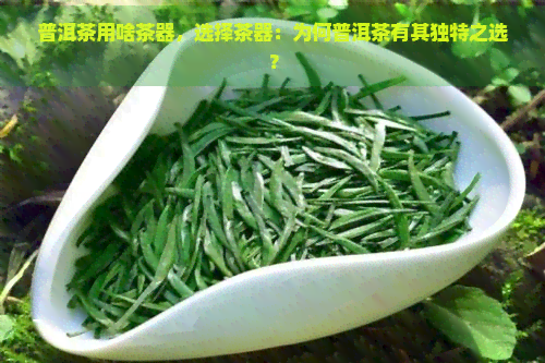 普洱茶用啥茶器，选择茶器：为何普洱茶有其独特之选？