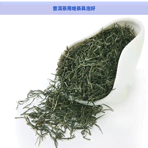 普洱茶用啥茶具泡好