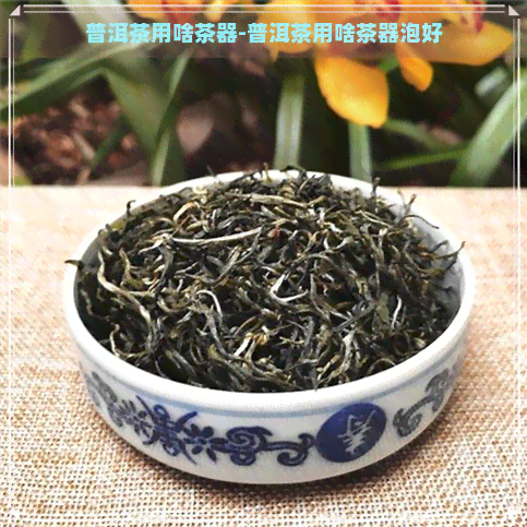 普洱茶用啥茶器-普洱茶用啥茶器泡好