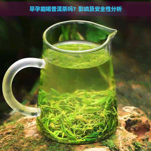 早孕能喝普洱茶吗？影响及安全性分析